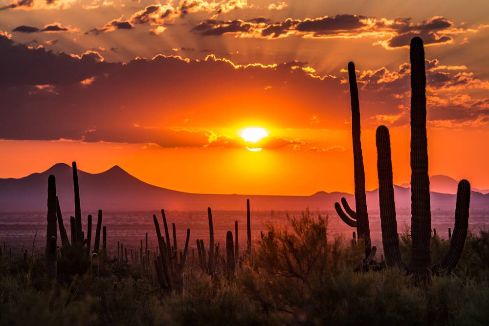 An incredible sunset