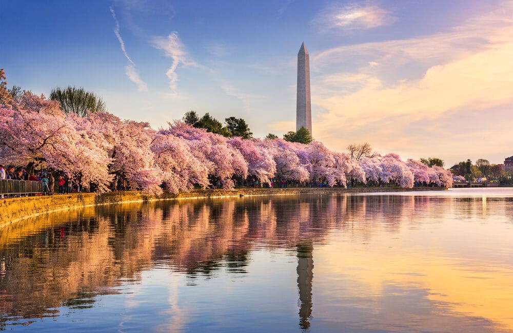 The #1 Best Place to Stay in Washington DC in 2022