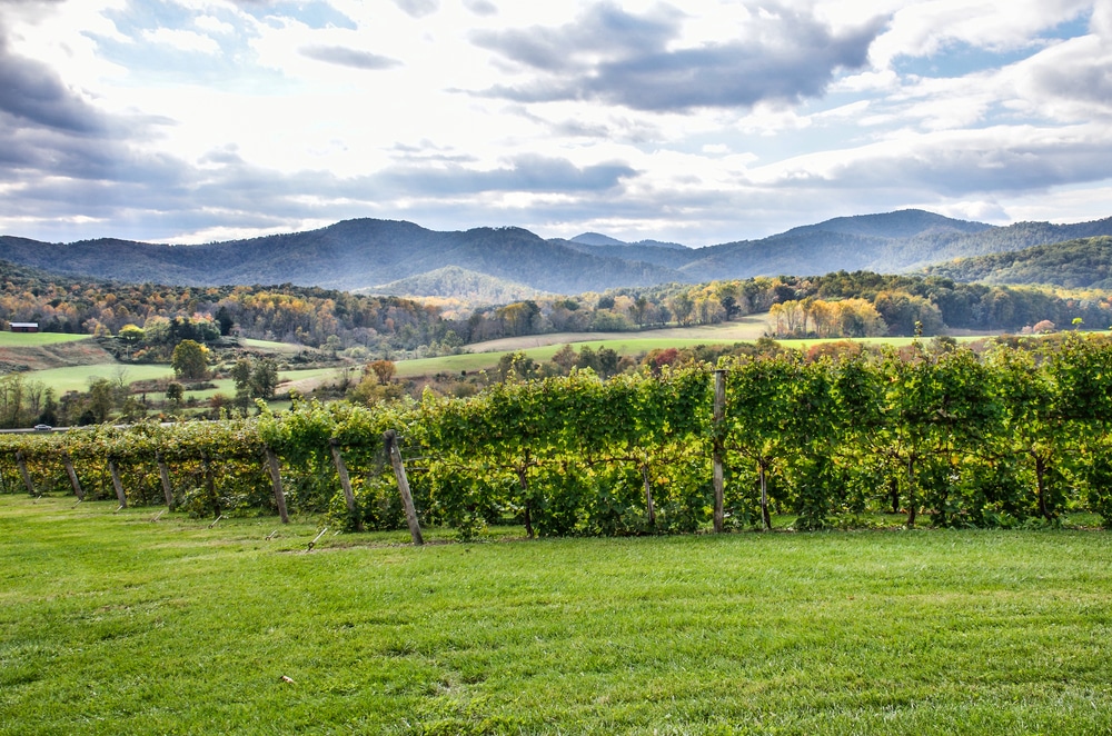 Beautiful views at the best Virginia wineries of 2022