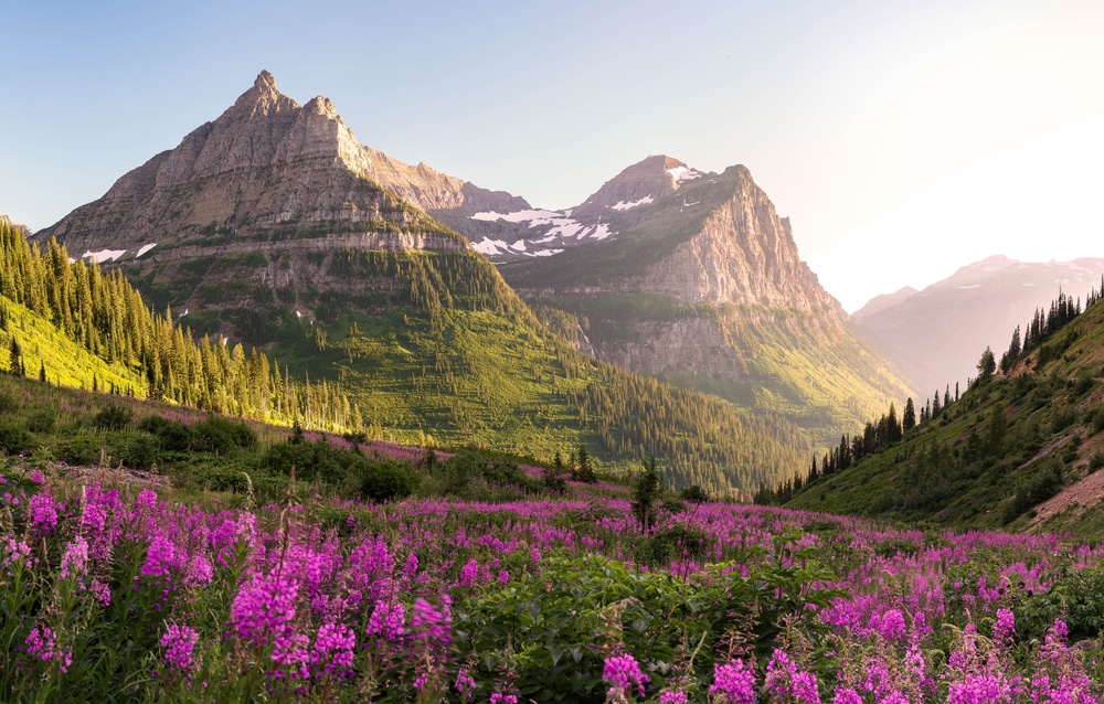 After enjoying these magnificent views of summer wildlfowers, relax in comfort at one of the best places to stay near Glacier National Park