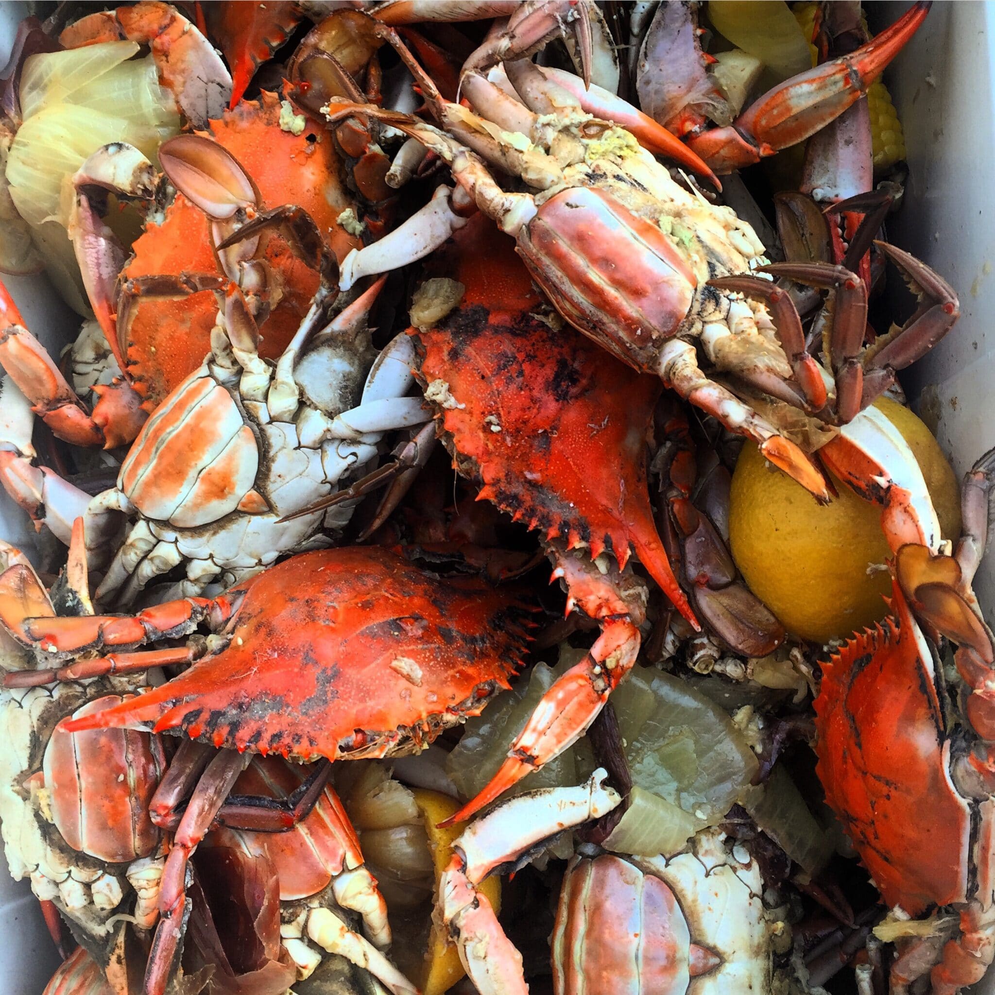 bunch of crabs