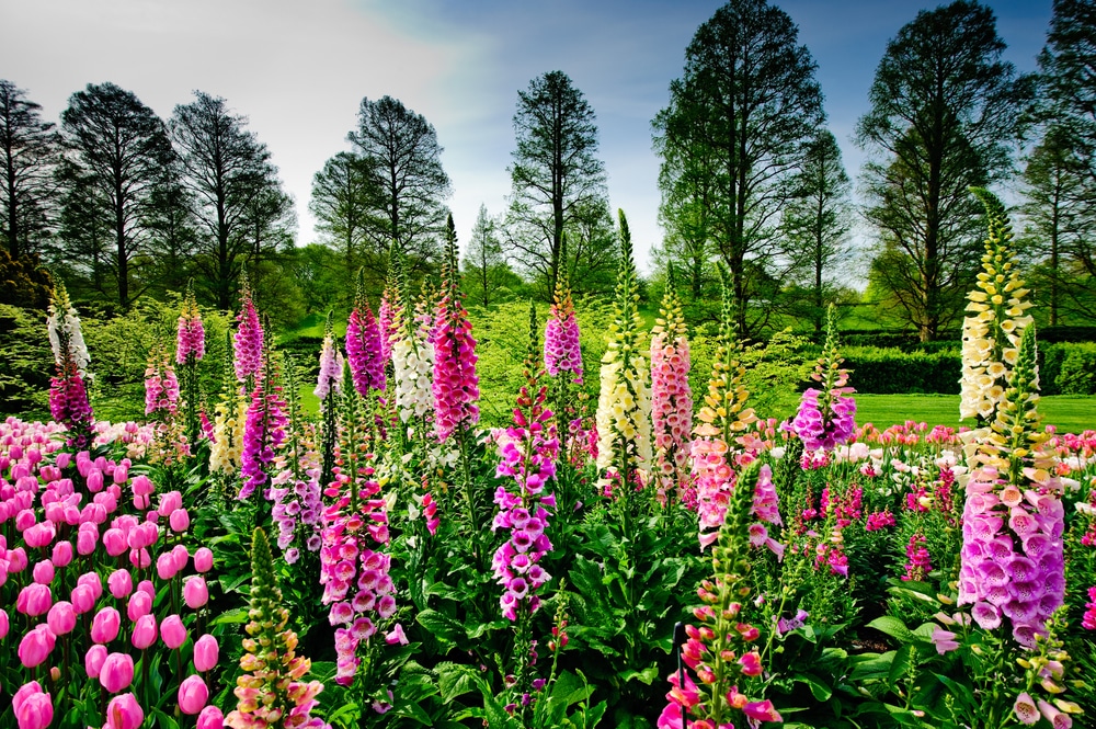 The Nemours Mansion & Gardens is one of the top things to do in Wilmington, Deleware, and so is visiting the nearby Longwood Gardens, pictured here