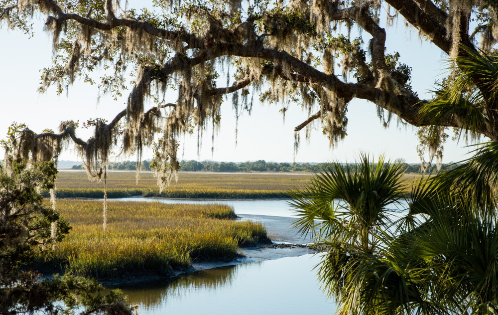 While visiting the Cumberland Island horses, take the time to explore the rest of this stunningly beautiful Cumberland Island National Seashore
