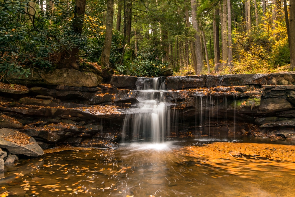 Fall foliage at Swallow Creek Falls State Park in Maryland