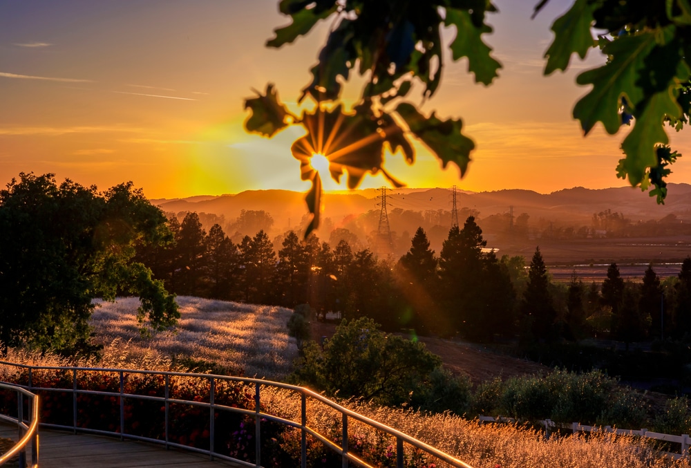 A beautiful sunset over the vineyards - learn where to stay in Napa Valley for the best experiences