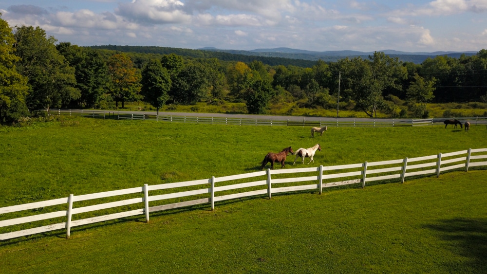 10 Best Things To Do In Saratoga Springs Horse Racing 