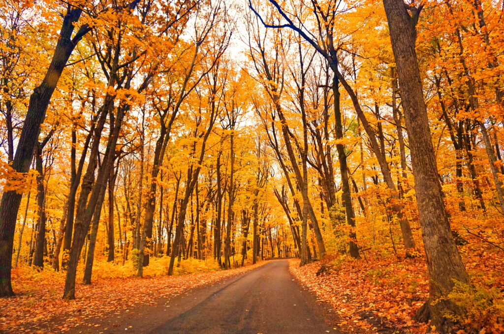Breathtaking fall foliage - find the best places to stay in Door county Wisconsin to see it first hand
