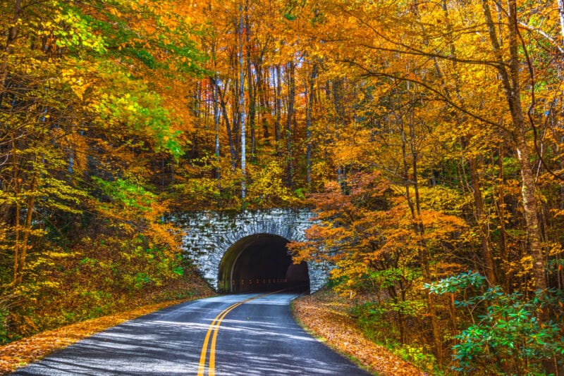 10 of the Best Things to do in Asheville, NC This Fall!