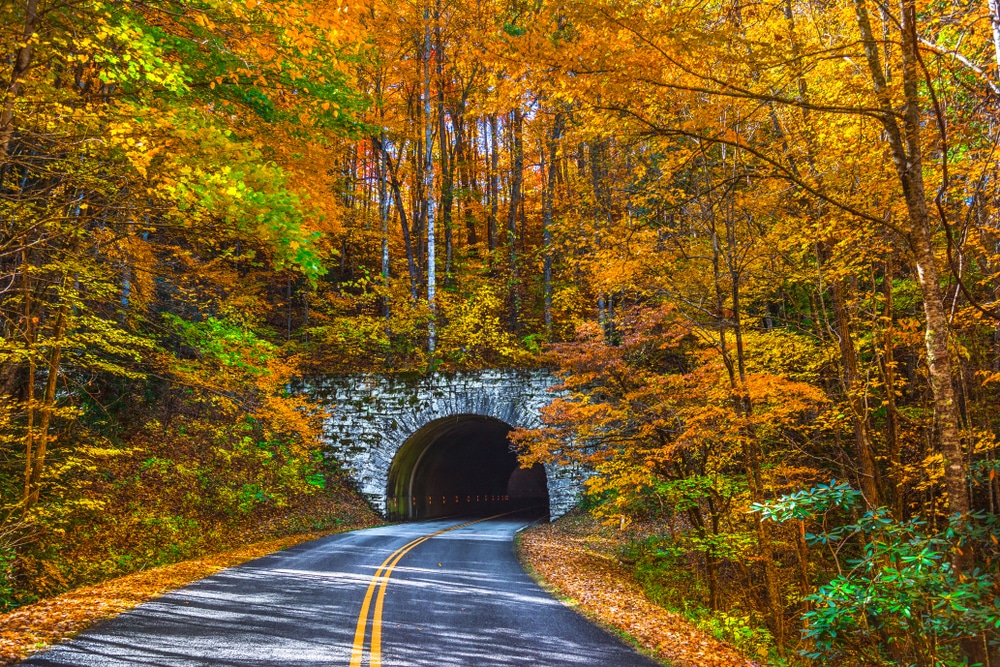 Driving the Blue Ridge Parkway in Fall is one of the best things to do in Asheville, NC