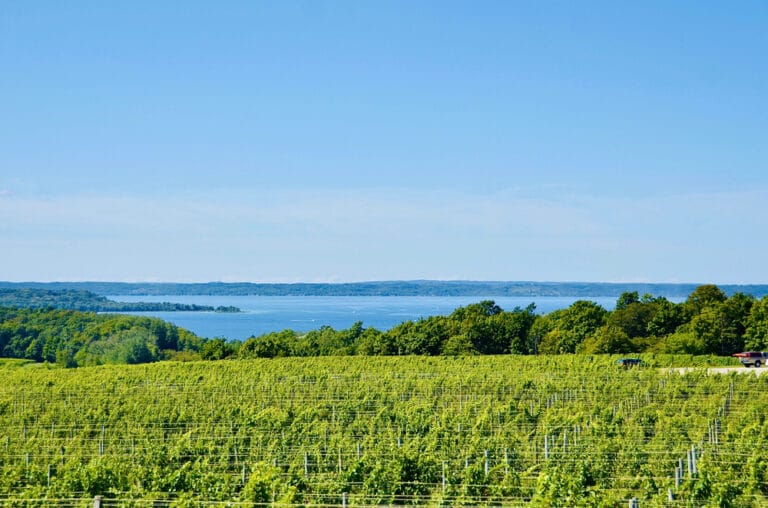 10 Awesome Michigan Wineries Near Traverse City