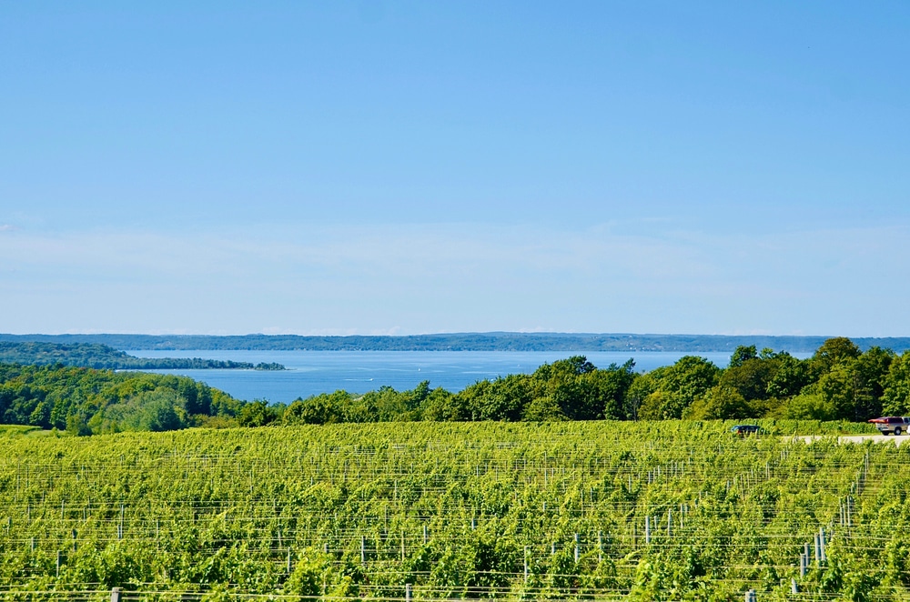 Gorgeous views at the top Michigan Wineries - one of the best things to do in Traverse City