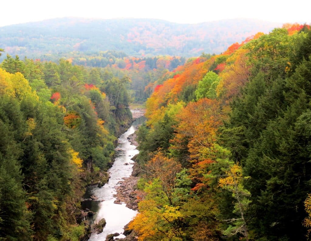 Enjoy the Best of Vermont in the Fall With These 14 Places!