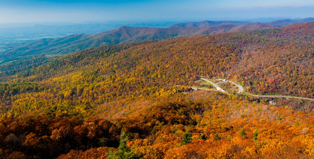 Gorgeous fall views of the Blue Ridge Parkway, one of the best things to do in the Shenandoah Valley This Fall