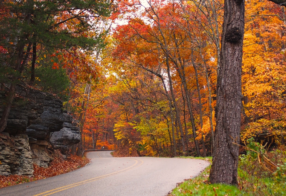 fall foliage in downtown Eureka Springs
