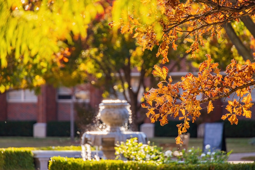 beautiful fall foliage on campus is one of the best things to do in Norman, OK This Fall