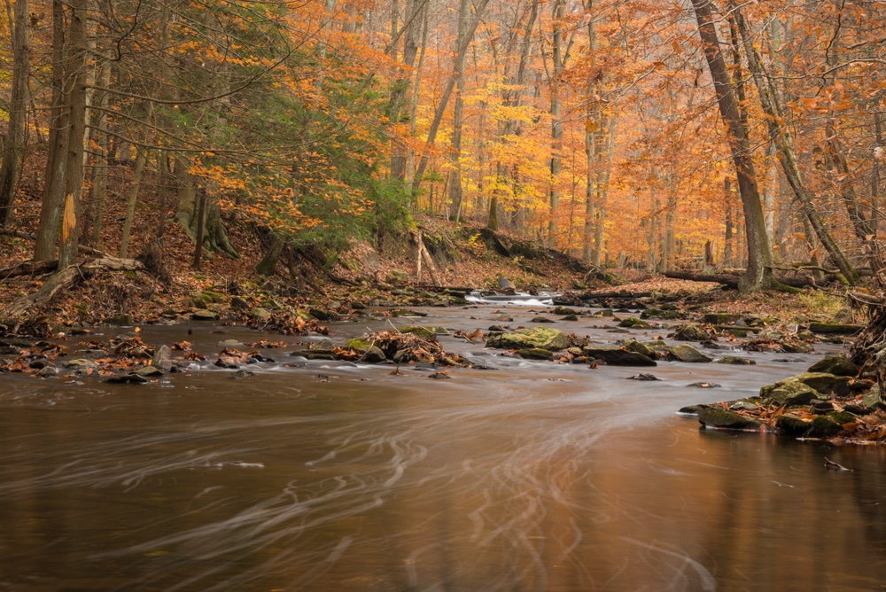 Enjoy the Catoctin Mountains during your romantic getaway in Maryland this fall