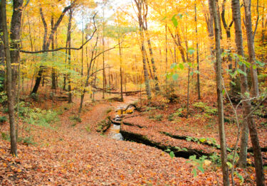 Gorgeous fall foliage at McConnells Mill State Park near New Castle PA