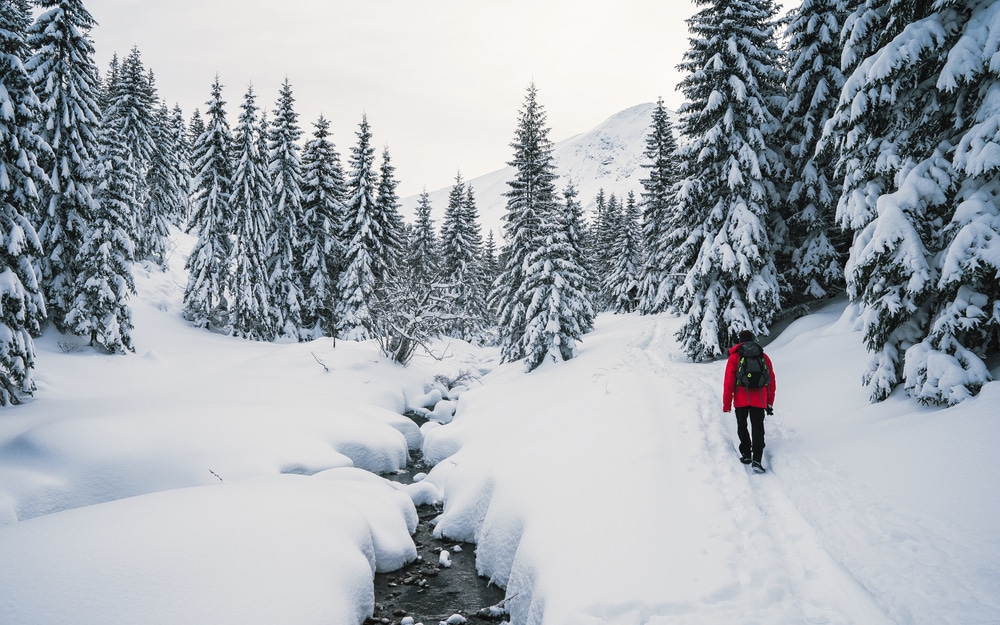 Cross Country Skiing, Snowshoeing, and More when you're done with Vermont Skiing at Mad River Glen