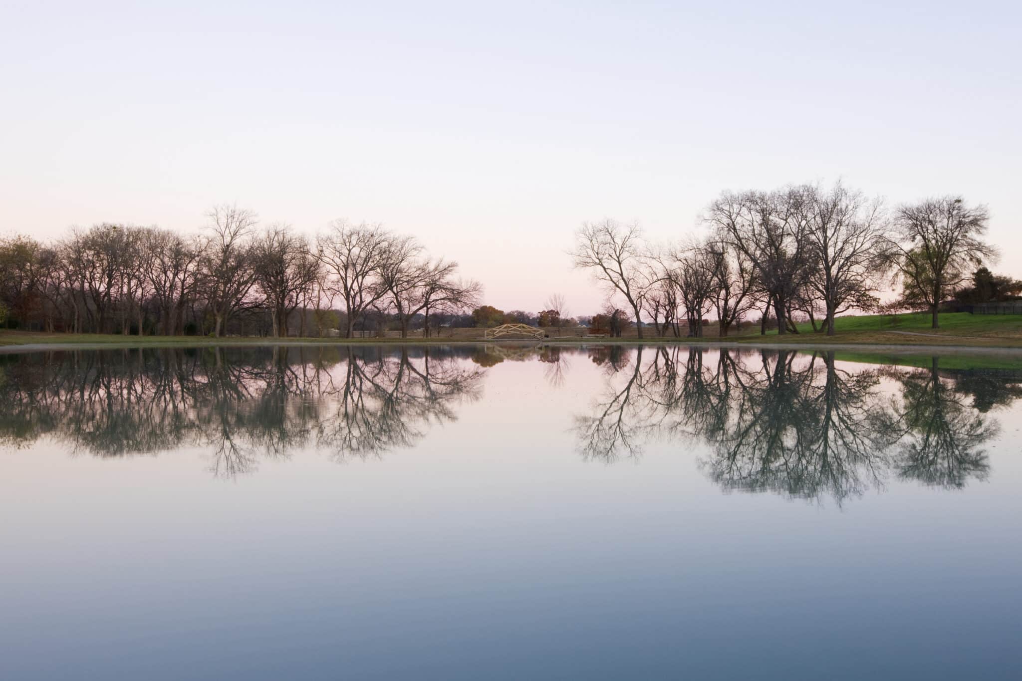 texas pond